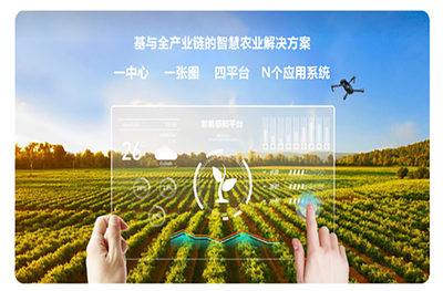 農業項目公示網站 推動農業現代化的新引擎