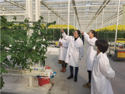 田間地頭最美風(fēng)景線 巾幗科技賦能鄉(xiāng)村振興